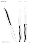 Kochmesser "Steakmesser“ (24,5 cm)" zur persönlichen Gestaltung